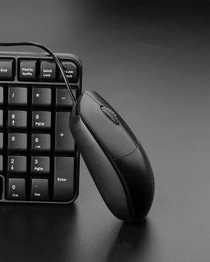RAPOO 100 Wired USB Mouse, 3 yr Warranty, 1600 DPI Optical Tracking, Ambidextrous PC/Mac/Laptop – Black